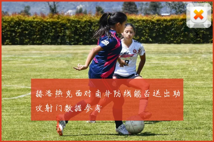 赫洛热克面对南非防线能否送出助攻射门数据参考