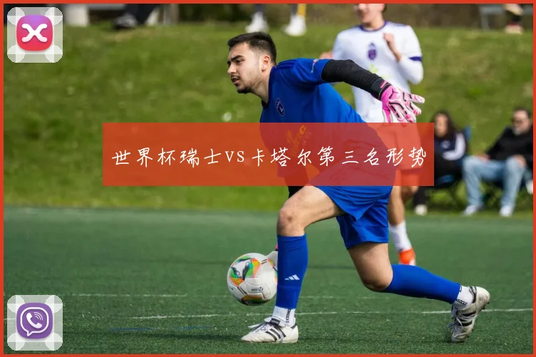 世界杯瑞士vs卡塔尔第三名形势