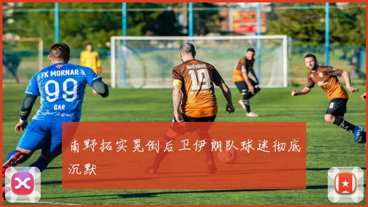 南野拓实晃倒后卫伊朗队球迷彻底沉默