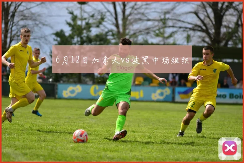 6月12日加拿大vs波黑中场组织