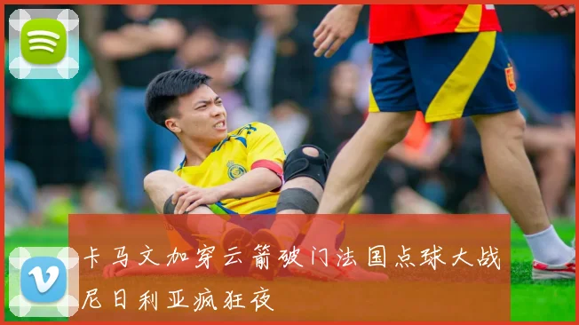 卡马文加穿云箭破门法国点球大战尼日利亚疯狂夜