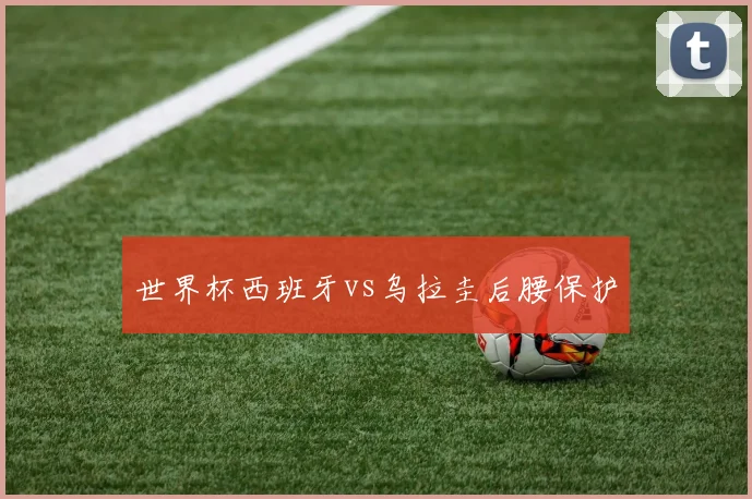 世界杯西班牙vs乌拉圭后腰保护